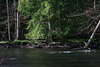 Brokenstraw Creek - April 29, 2007.