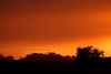 Scenic - Landscape - Still : 