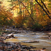 Six Mile Creek : Thank you Scott & Holly!